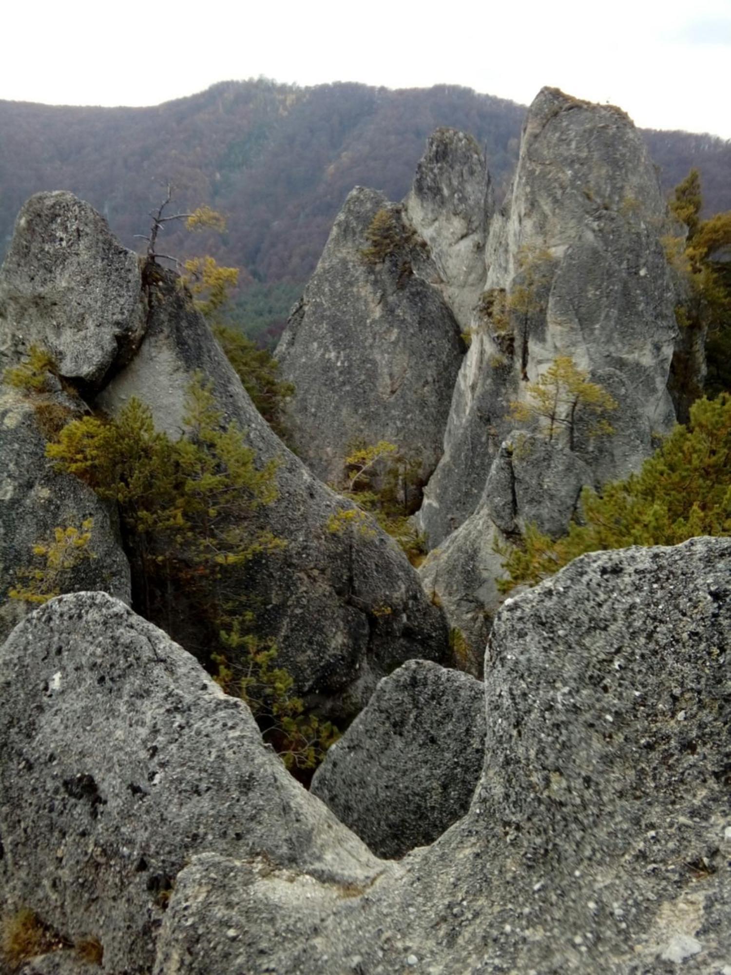 דירות Castle Kastiel Kotešová מראה חיצוני תמונה